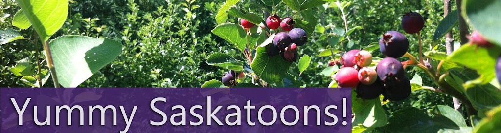 Saskatoonsreddeer | 26575 AB-11 #3, Alberta T4E 1A5, Canada | Phone: (403) 318-2074