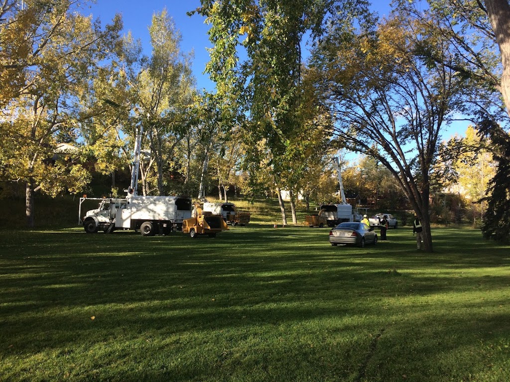 Rosscos Tree Service & Contracting Ltd. | 401 Clark Ave, Lethbridge, AB T1K 8H4, Canada | Phone: (403) 327-2201