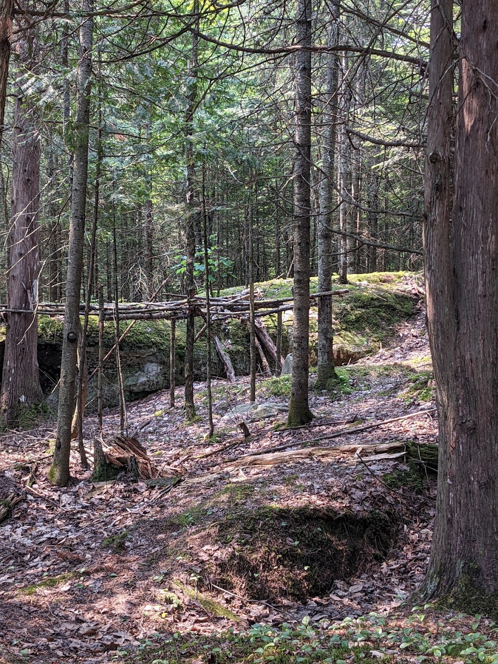 Sentiers de la Montagne Roy : Allons aux bois | 116 Rue Papineau, Chénéville, QC J0V 1E0, Canada | Phone: (819) 428-3583