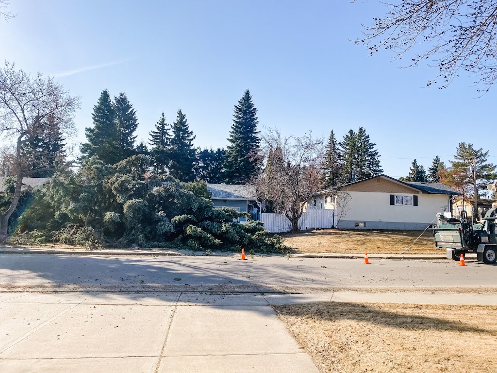 Trusty Tree Services | 11410 2 St, Sherwood Park, AB T8A 6E8, Canada | Phone: (780) 860-5500