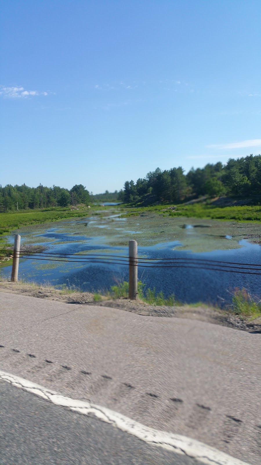 Naiscoot Marina | 30 Blue Heron Trail, Pointe au Baril, ON P0G 1K0, Canada | Phone: (705) 366-2680