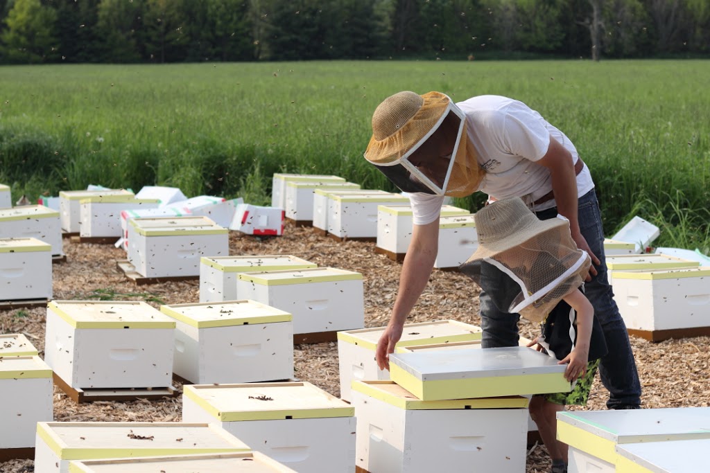 Backed By Bees | 6214 Appleby Line, Burlington, ON L7M 0P7, Canada | Phone: (905) 320-6214