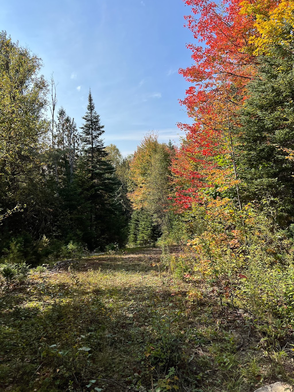 Le Havre de la Rivière | 500 Rue de la Rivière, Saint-Alphonse-Rodriguez, QC J0K 1W0, Canada | Phone: (418) 454-8903