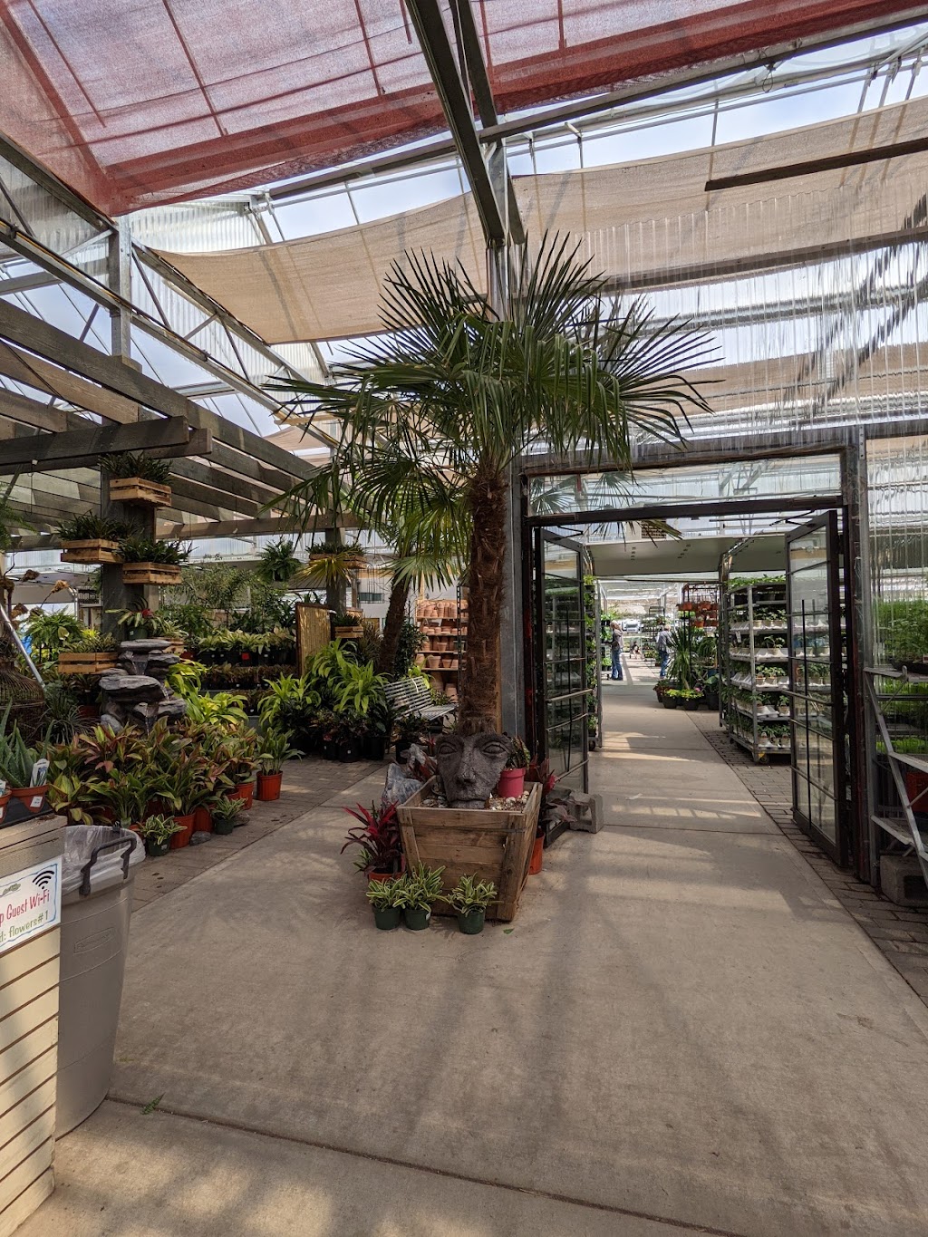 Art Knapp Garden Centre & Florist | 420 Nunavut Way, Kamloops, BC V2H 1N6, Canada | Phone: (250) 828-2111