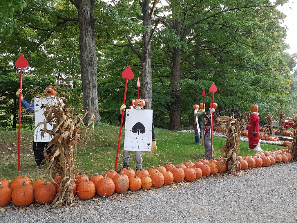 Howell Family Pumpkin Farm | 2878 Holland Rd, Fonthill, ON L0S 1E6, Canada | Phone: (905) 892-3918