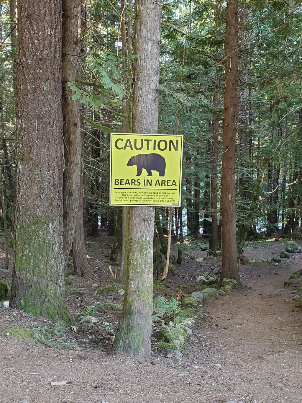 Cat Lake Recreation Site | Cheekye Forest Service Rd, Squamish, BC V8B 0P6, Canada