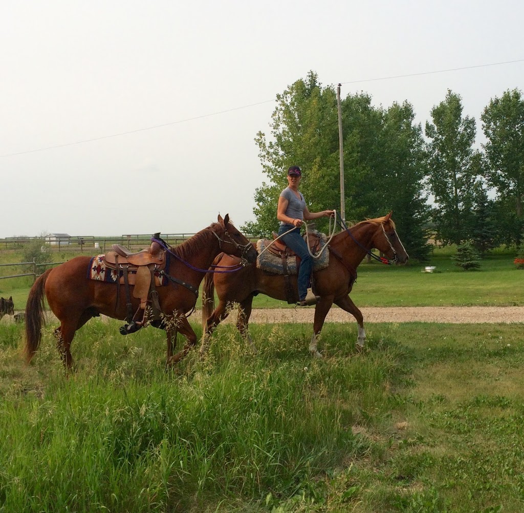 Slickfork Ranch | Touchwood No. 248, SK S0A 3G0, Canada | Phone: (306) 835-2277