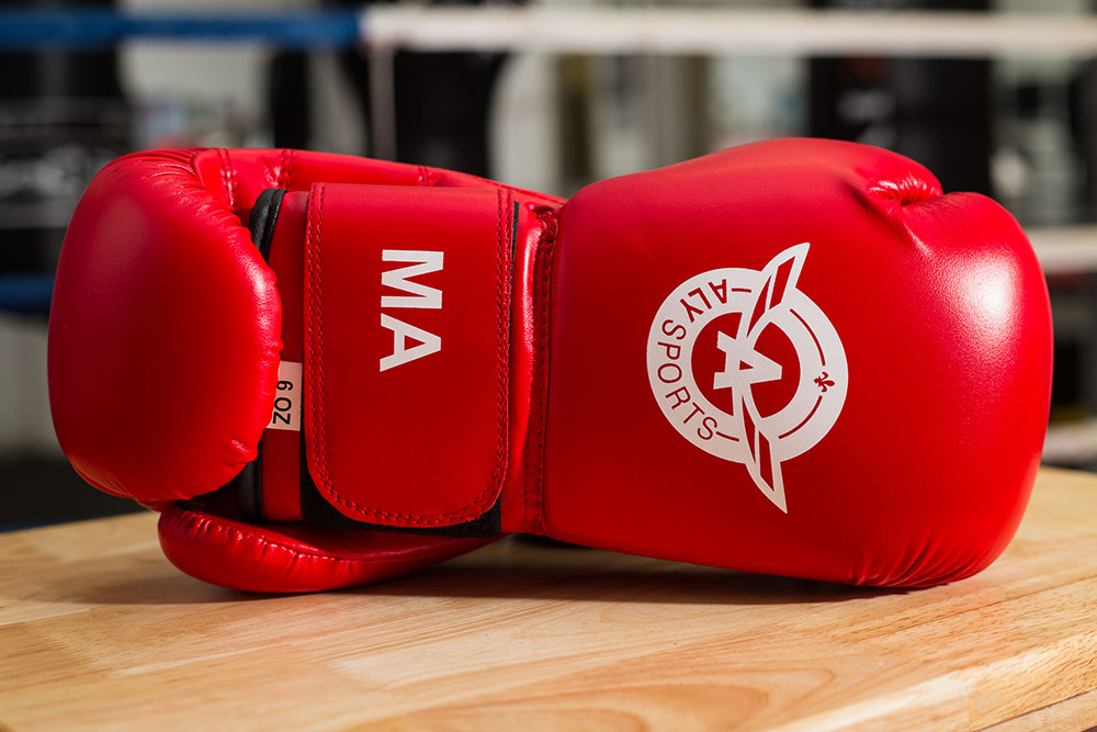 Club De Boxe Aly, Cous De Boxe Pour Débutants Et Compétiteurs De | 449 Avenue St Jean, Sainte-Marie, QC G6E 2E2, Canada | Phone: (418) 386-2693