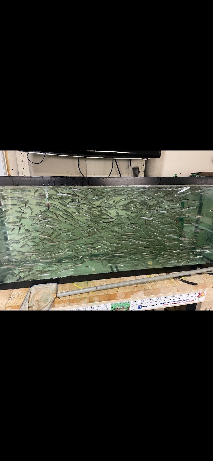 Ozzys Live Bait | 61 Shetland Way, Kanata, ON K2M 1S4, Canada | Phone: (613) 298-4111