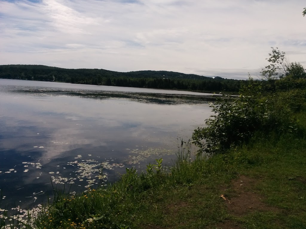 Laurier Flower Farm | 340 Chem. du Ruisseau, Sainte-Catherine-de-Hatley, QC J0B 1W0, Canada | Phone: (514) 260-4564