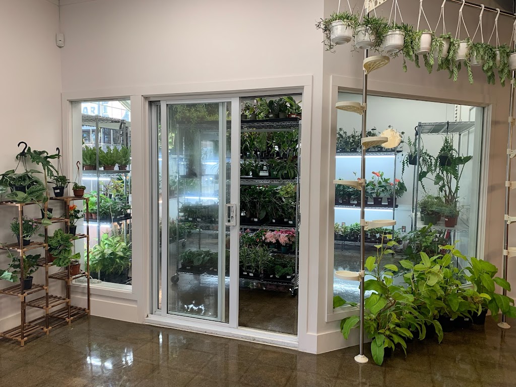 Jungle rose inc. | 14 Bd Trudel O, Saint-Boniface, QC G0X 2L0, Canada | Phone: (819) 534-2404