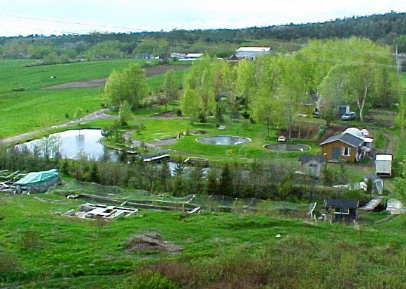 Pisciculture Aubé | 382 Chemin du Golf, Montmagny, QC G5V 3R9, Canada | Phone: (418) 248-5610