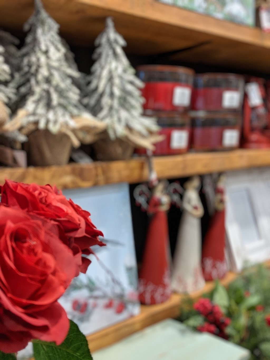 Fleuriste Fleurs et Jardins Lemieux Inc | 85 Boulevard Taché O, Montmagny, QC G5V 3A6, Canada | Phone: (418) 248-1133