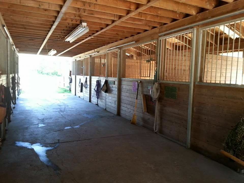 Hideaway Stables | 294 212 St, Langley, BC V2Z 1S7, Canada | Phone: (604) 533-5351