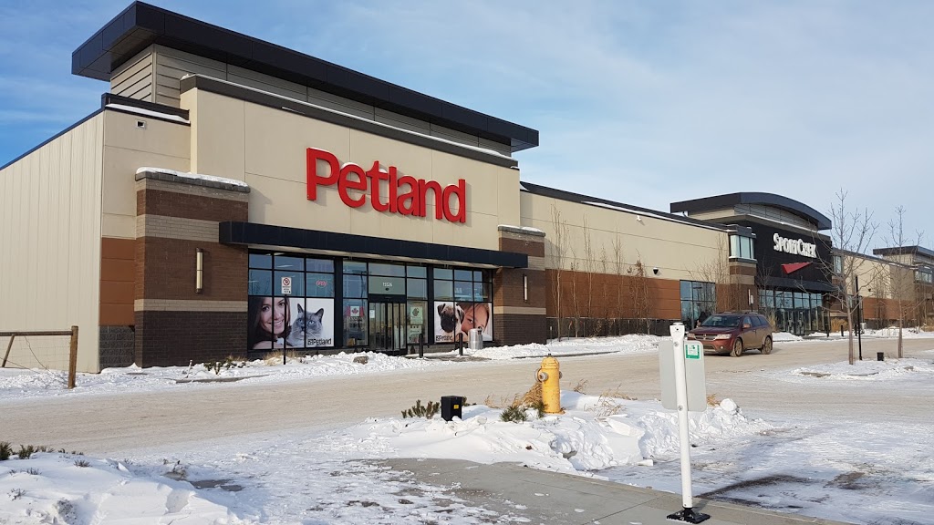 Petland Manning | 15526 37 St NW, Edmonton, AB T5Y 0S5, Canada | Phone: (780) 475-5399