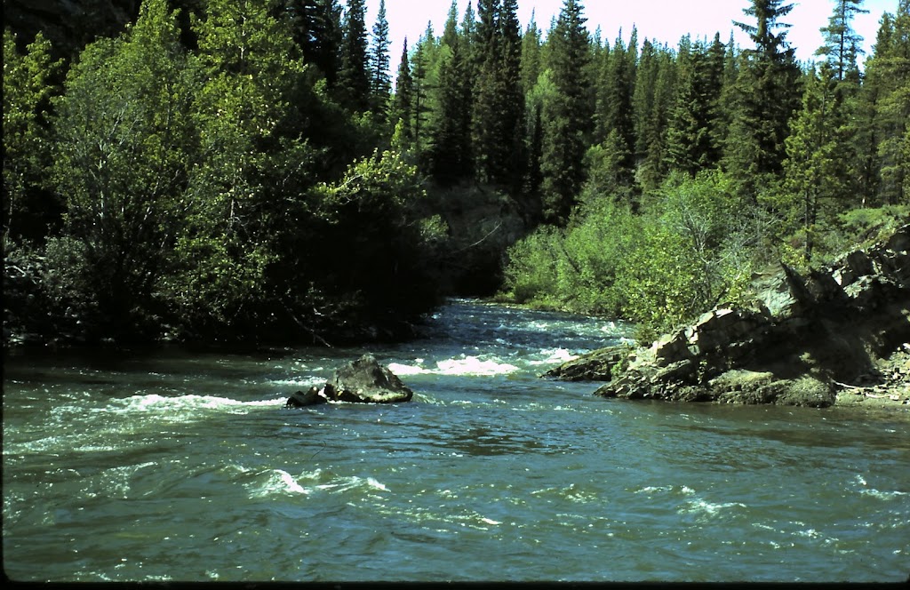 Castle Provincial Park | AB-774, Pincher Creek No. 9, AB T0K 1C0, Canada | Phone: (403) 627-1165