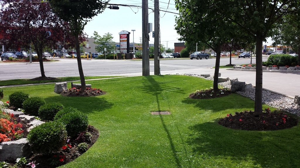 Clearview Landscaping | 104 Gilbert Ave, Toronto, ON M6E 4W1, Canada | Phone: (416) 418-4781