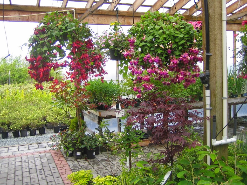 Tri-Star Nurseries & Landscape Supplies Ltd. | 5047 184 St, Surrey, BC V3X 1B5, Canada | Phone: (604) 576-6732