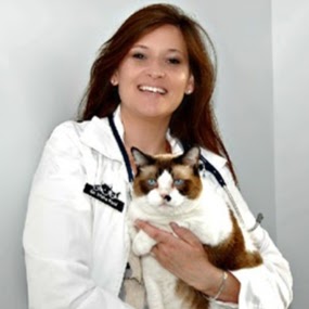 Haldimand Animal Hospital | 61 Talbot St E, Cayuga, ON N0A 1E0, Canada | Phone: (905) 772-3939