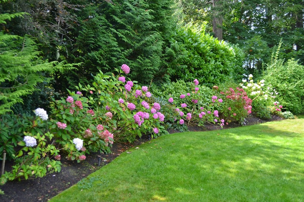 Green Image Lawn and Garden | 892 Woodhall Dr, Victoria, BC V8X 3L8, Canada | Phone: (250) 580-4983