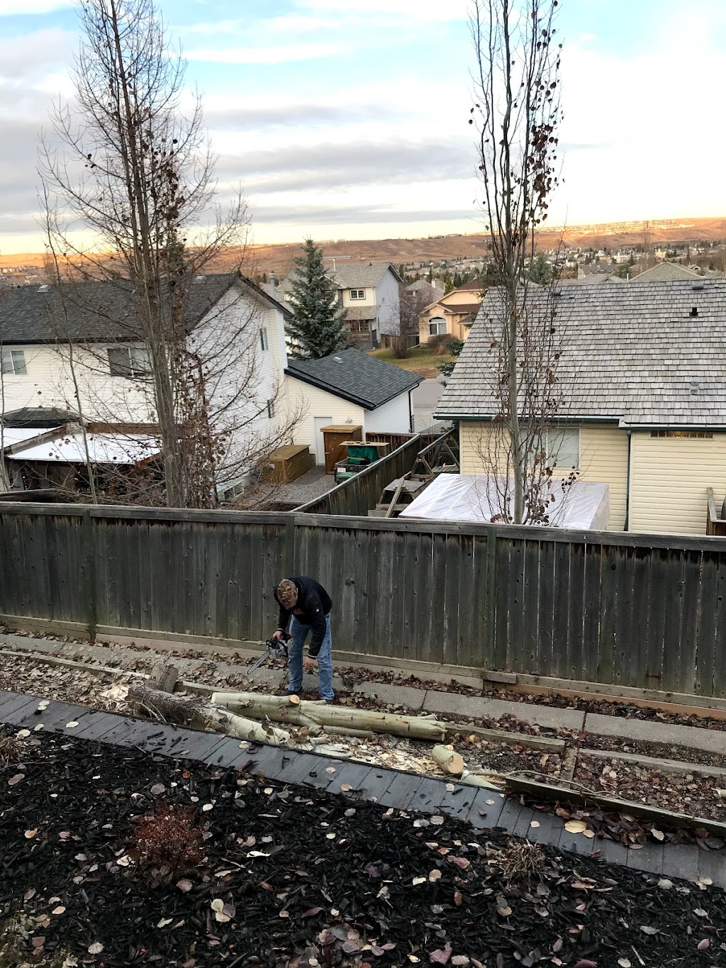 Cochrane Small Tree Pruning | 52 Bow Ridge Dr, Cochrane, AB T4C 1V5, Canada | Phone: (403) 505-9615