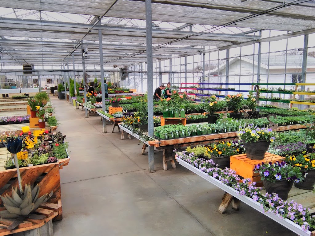 Thiels Greenhouses Ltd | 4916 45 St, Bruderheim, AB T0B 0S0, Canada | Phone: (780) 796-3501