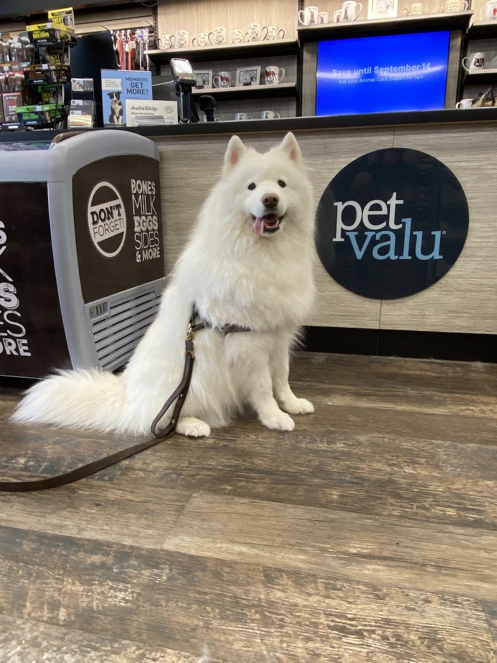 Pet Valu | 13239 Yonge St Unit C1, Richmond Hill, ON L4E 3L2, Canada | Phone: (905) 773-1939