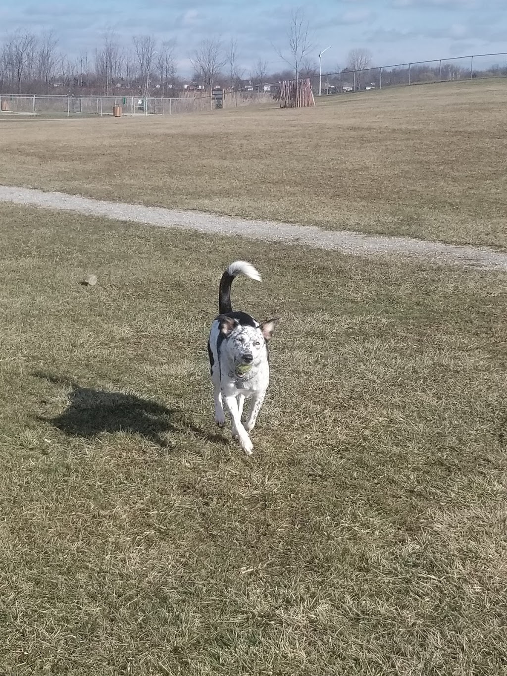 Linden Beach Dog Park | 103 Golfview Dr, Kingsville, ON N9Y 0A6, Canada | Phone: (519) 733-2305