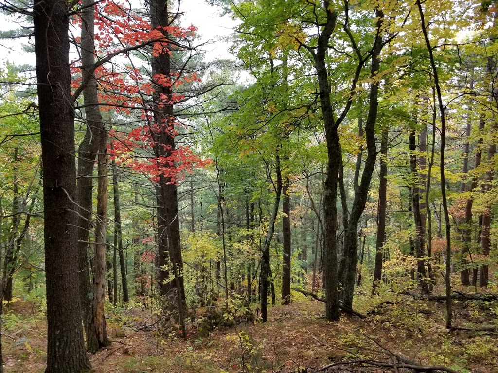 Parc régional du Mont Morissette | 35 Chemin du Lac Long, Blue Sea, QC J0X 1C0, Canada | Phone: (819) 463-2261