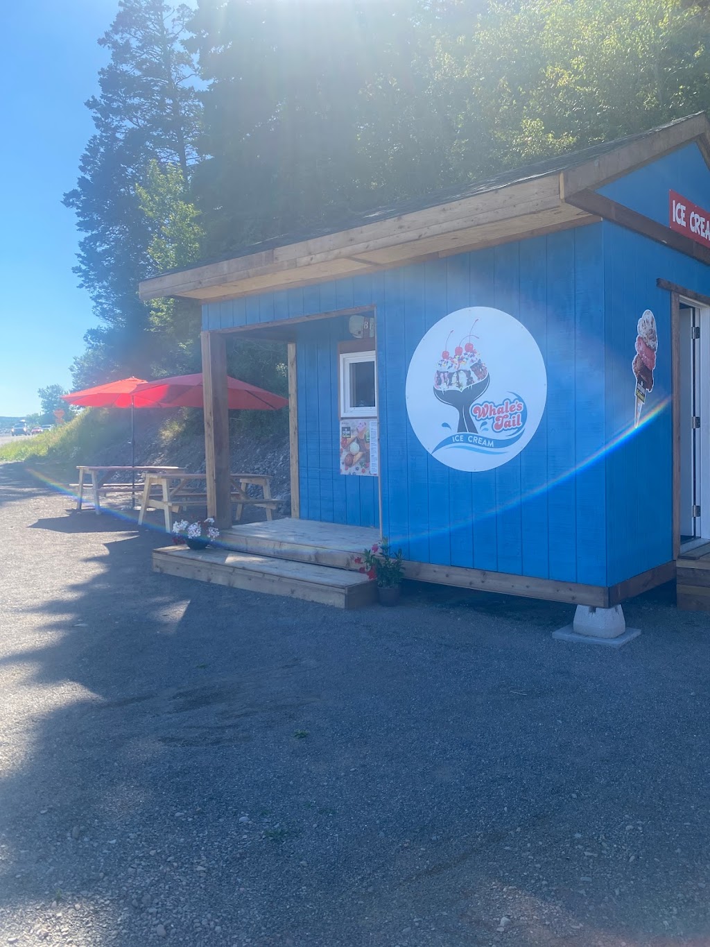 Whales Tail Ice Cream shop | 26 Allan Rd, Orange Hill, NB E5R 1J3, Canada | Phone: (519) 312-6577