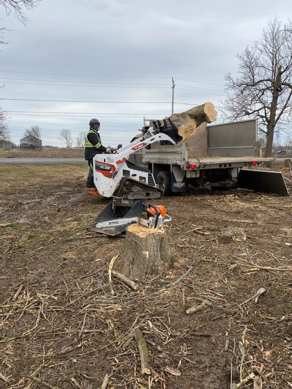 Stump Up Tree Service | 81 Hopkins Ct, Hamilton, ON L9H 5M7, Canada | Phone: (905) 379-7245