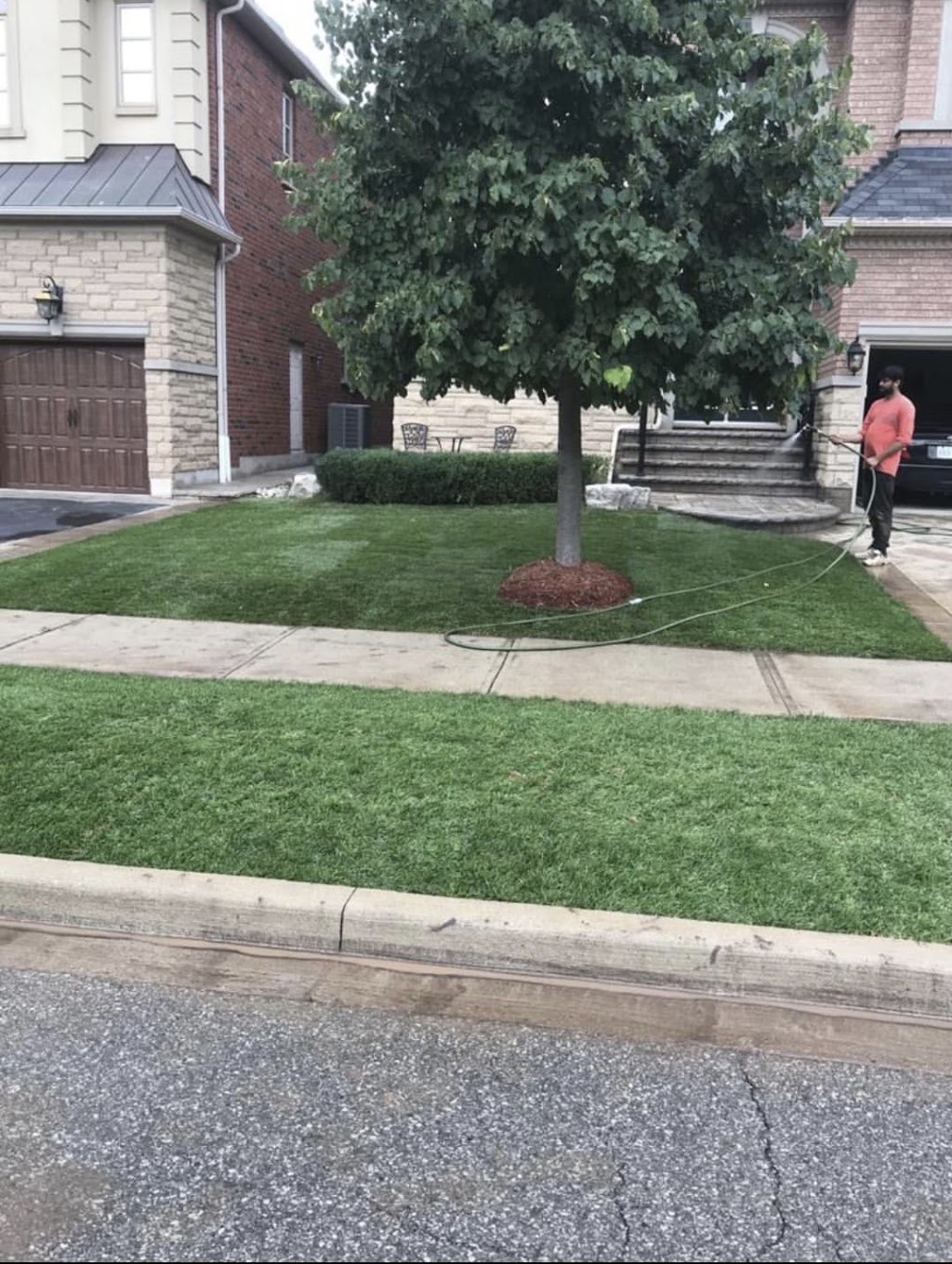 Mr.Sod - The Sod Installation Specialist | 234 Pinetree Way, Mississauga, ON L5G 2R2, Canada | Phone: (416) 704-6007