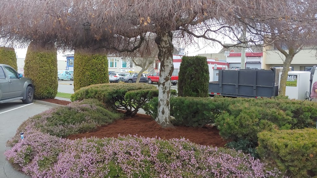 TOMEI Landscaping Ltd | 1123 Goldstream Ave, Victoria, BC V9B 2Y9, Canada | Phone: (250) 710-0337