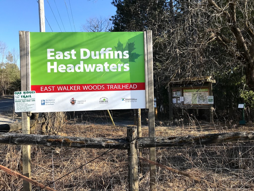 East Walker Woods Trailhead | Walker Woods, Goodwood, ON L0C 1A0, Canada