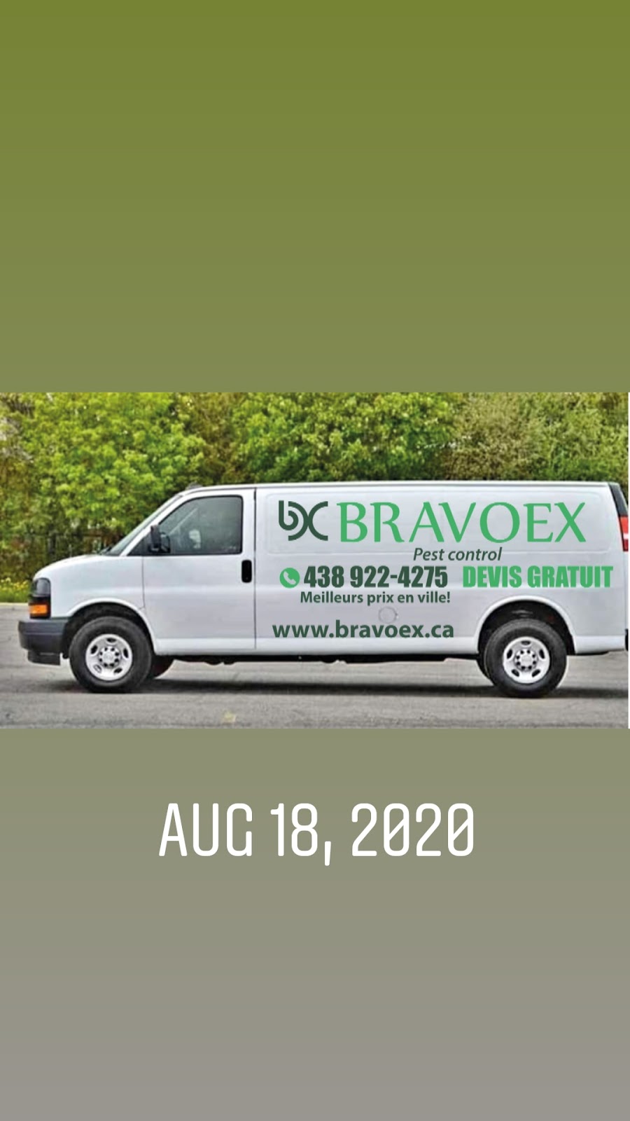 BRAVOEX Pest control | 2583 Carling Ave, Ottawa, ON K2B 7H7, Canada | Phone: (438) 922-4275