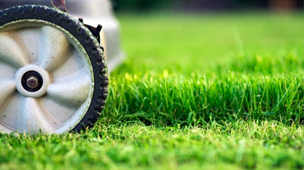 Just A Few Lawns Lawn care | 3 Manitou Crescent E, Amherstview, ON K7N 1A9, Canada | Phone: (343) 333-8809