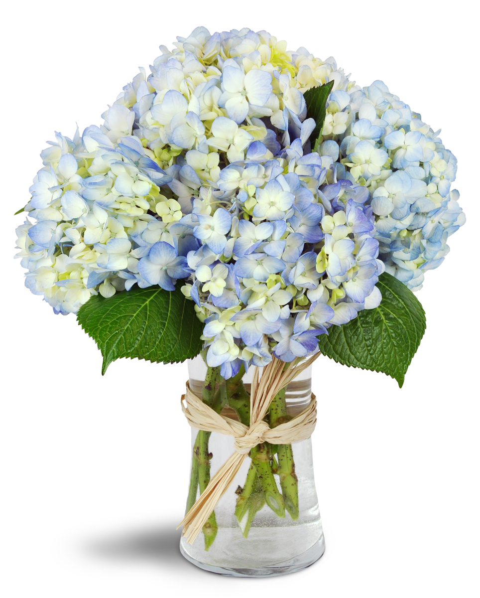 Adas Flowers | 2236 Hampstead Rd, Oakville, ON L6H 6Y9, Canada | Phone: (905) 844-8783