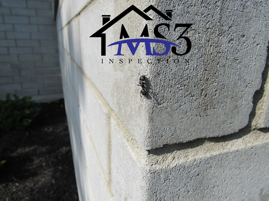 MS3 Inspection | 221 Rue Michelle, Sherrington, QC J0L 2N0, Canada | Phone: (514) 515-3343