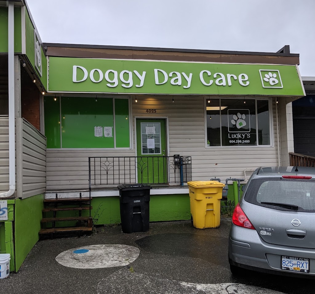 Luckys Doggy Daycare | 4025 2nd Ave, Burnaby, BC V5C 3X1, Canada | Phone: (604) 299-2480