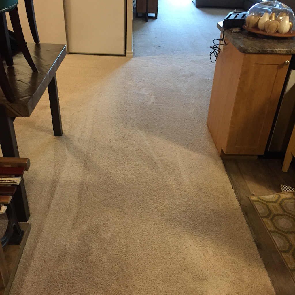 Extraction Carpet Cleaning | 525 Highland Rd W #402, Kitchener, ON N2M 5P4, Canada | Phone: (519) 729-7240