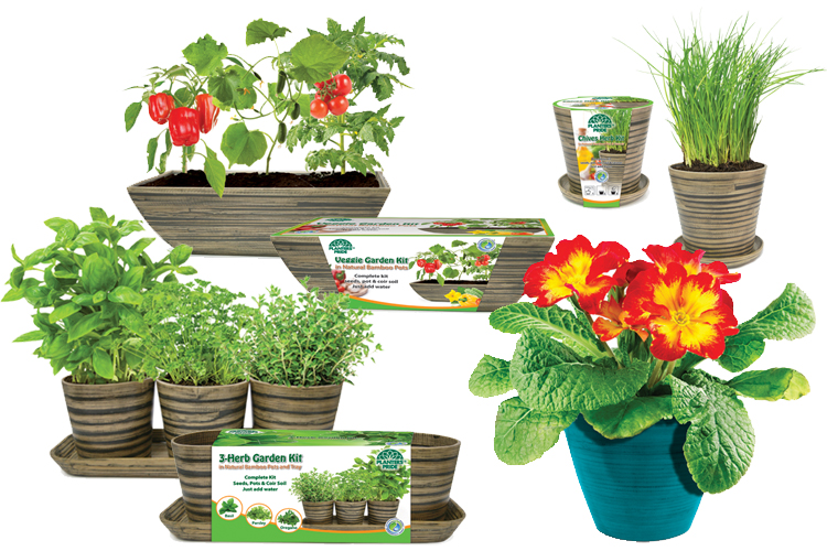 PlantBest, Inc. | 170 Duffield Dr #100, Markham, ON L6G 1B5, Canada | Phone: (905) 470-0724
