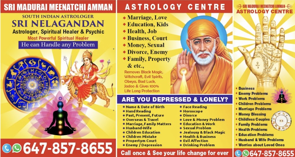 South best Indian astrologer | A-4 3300 McNicoll.Ave Scarborough.ONT. 5J6, CEEMATY SILK, Toronto, ON M1V 5J6, Canada | Phone: (647) 857-8655
