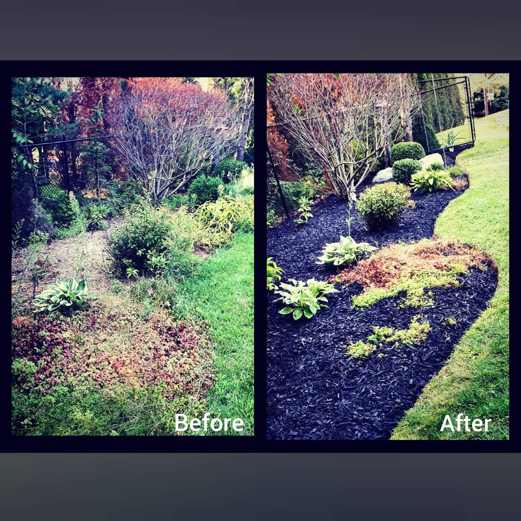 Green Esthetics Landscaping | Hume St #268, Collingwood, ON L9Y 1W1, Canada | Phone: (705) 446-4649