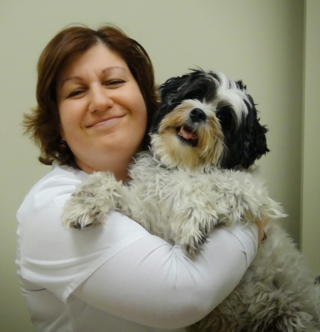 Tower Hill-Bathurst Animal Hospital | 372 Tower Hill Rd #10, Richmond Hill, ON L4E 0A6, Canada | Phone: (905) 737-4455