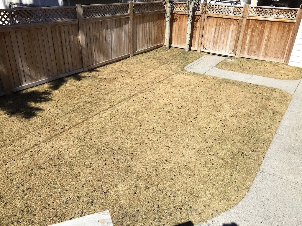 Fresh Stripes Lawn Care | 306 17 St SE, Calgary, AB T2E 8V7, Canada | Phone: (403) 702-5798