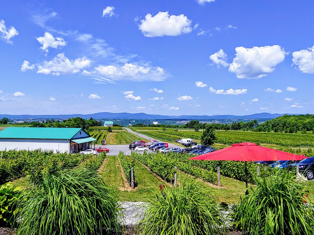 Vignoble Ste-Pétronille - Winery & Cidery | 8705 Chem. Royal, Sainte-Pétronille, QC G0A 4C0, Canada | Phone: (418) 828-9554