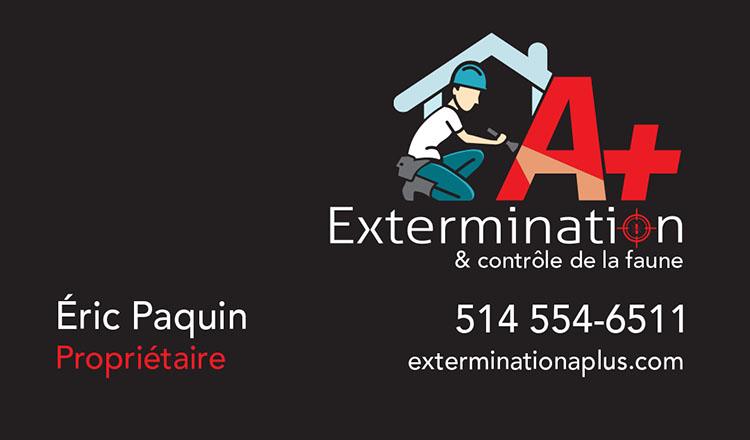 Extermination & contrôle de la faune A+ | 1245 Rue Isabelle, Les Cèdres, QC J7T 1X1, Canada | Phone: (514) 554-6511