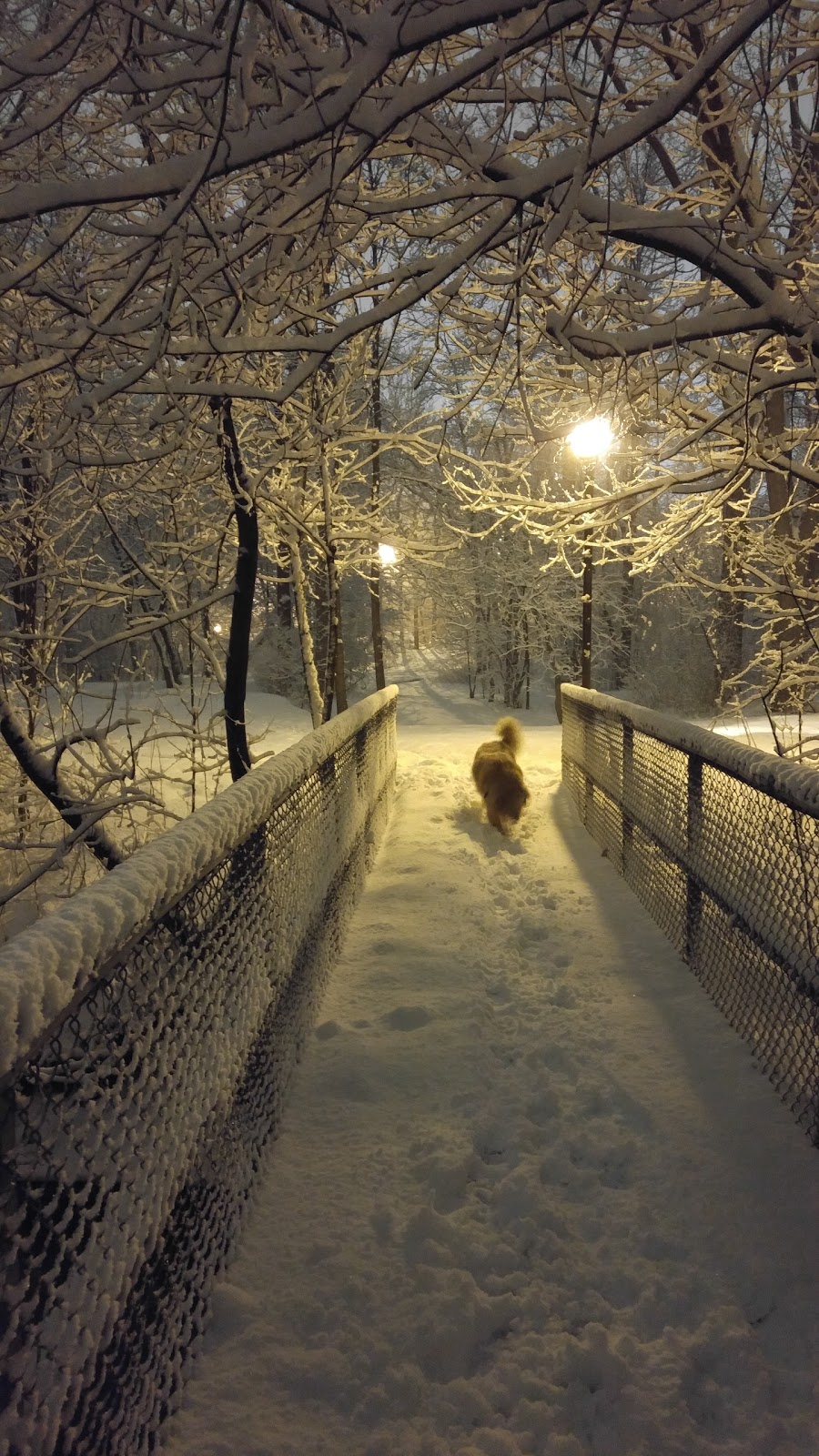 Parc Bois de Brouage | Boucherville, QC J4B 2E9, Canada