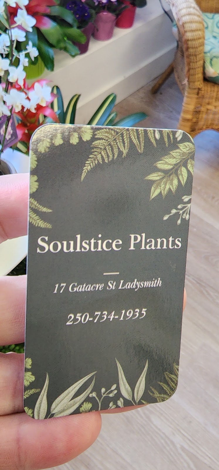 Soulstice plants and gifts | 17 Gatacre St, Ladysmith, BC V9G 1A1, Canada | Phone: (250) 734-1935