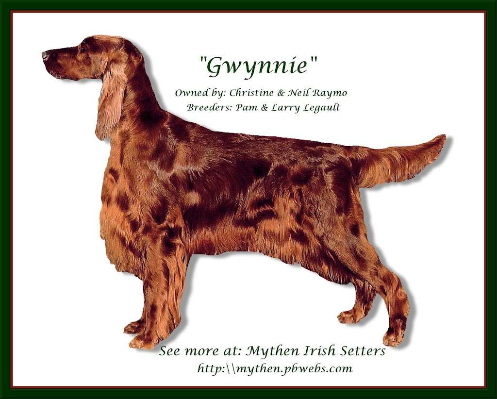 Mythen Irish Setters | 51 Pond Dr, Middleton, NS B0S 1P0, Canada | Phone: (902) 825-6740